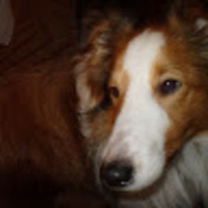 Meet your Posher, Maxine